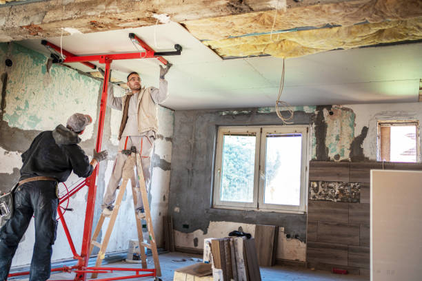 Best Cellulose Insulation in Kiawah Island, SC